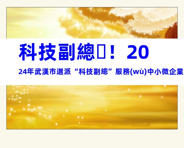 科技副總！2024年武漢市選派“科技副總”服務(wù)中小微企業(yè)申報條件、選派程序